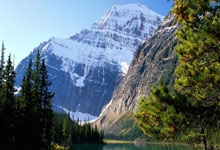 包含曼联主帅放话：亚冠次回合必胜北京国安，萨巴伦卡冷笑回应的词条